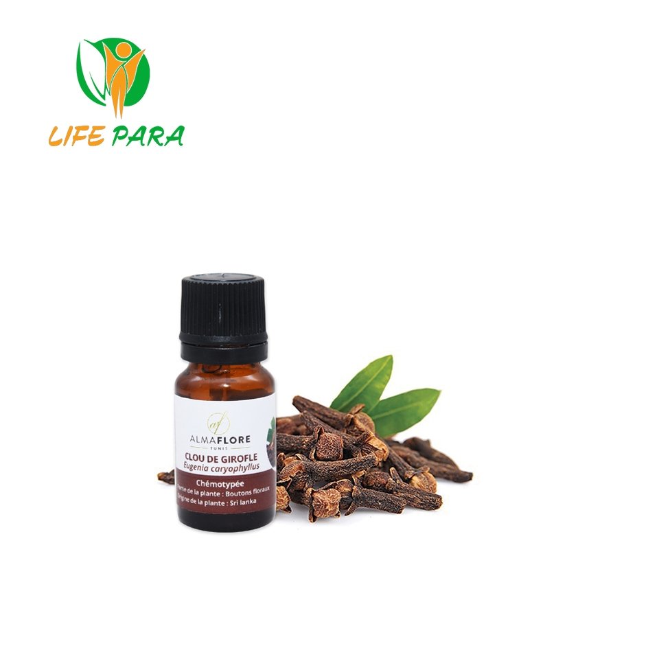 ALMAFLORE Huile Essentielle de clou de girofle BIO, 10ML